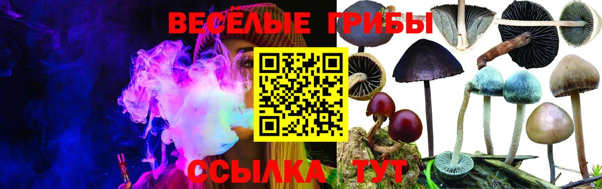 Сургут  Псилоцибиновые грибы мухоморы  Вход с VPN  Галлюциногенные грибы Magic Shrooms 